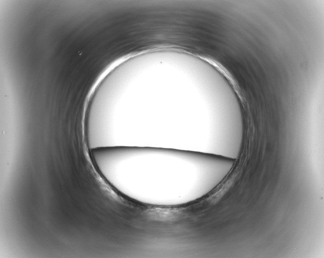 X0000084540910200703161625