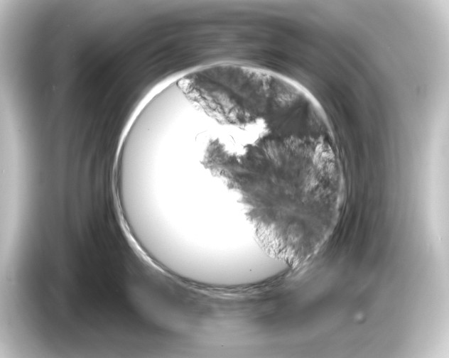 X0000084540911200703161625