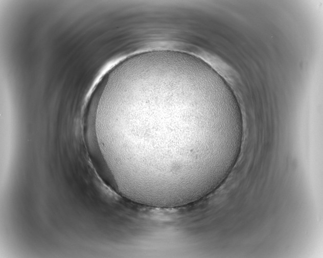 X0000084540912200703161625