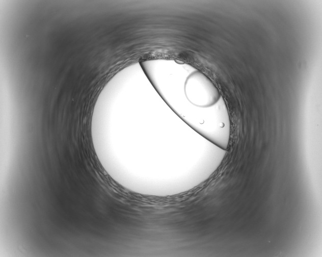 X0000084540914200703161625