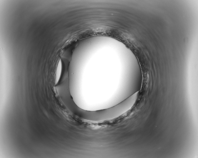 X0000084540916200703161625