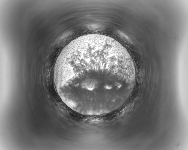 X0000084540917200703161625