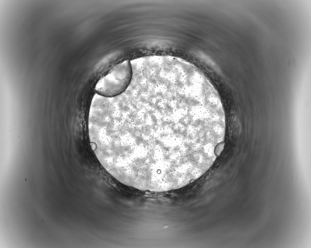 X0000084540918200703161625