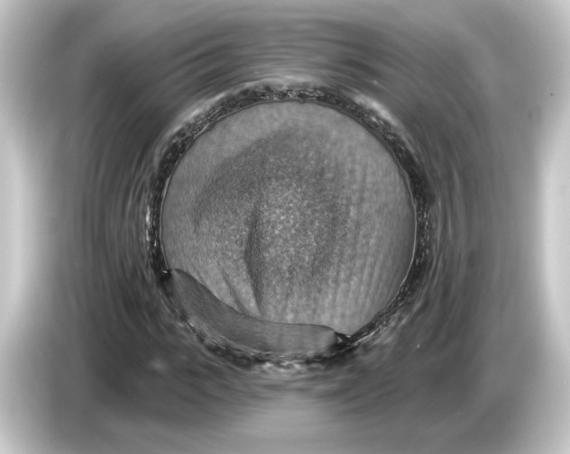 X0000084540919200703161625