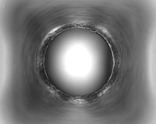 X0000084540920200703161625