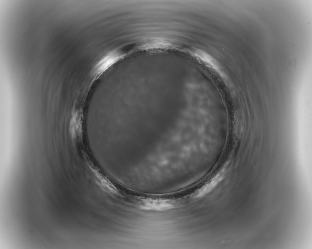 X0000084540921200703161625