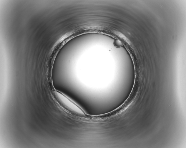 X0000084540922200703161625