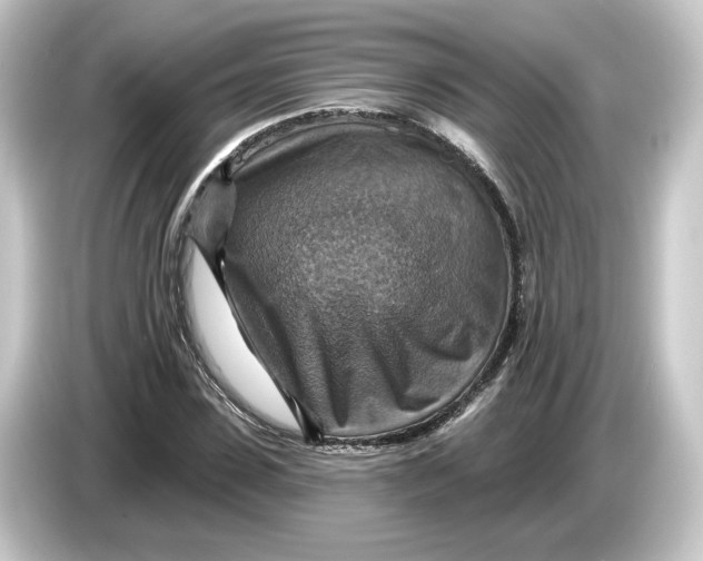 X0000084540923200703161625