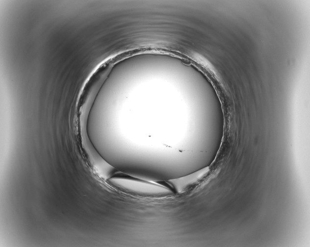 X0000084540924200703161625