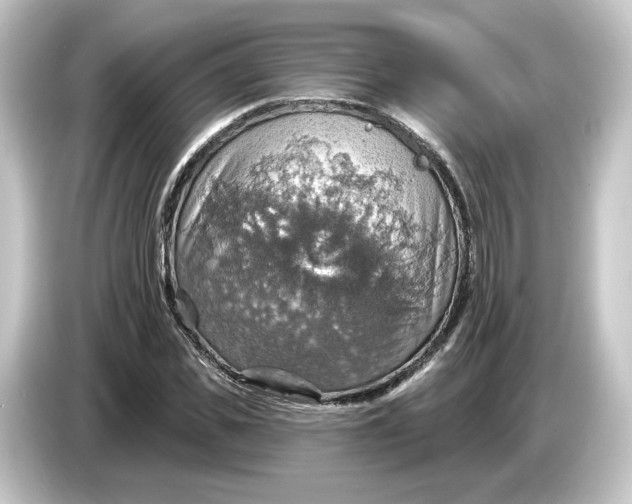 X0000084540925200703161625