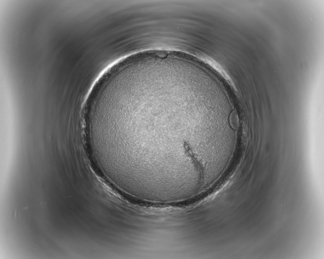 X0000084540926200703161625