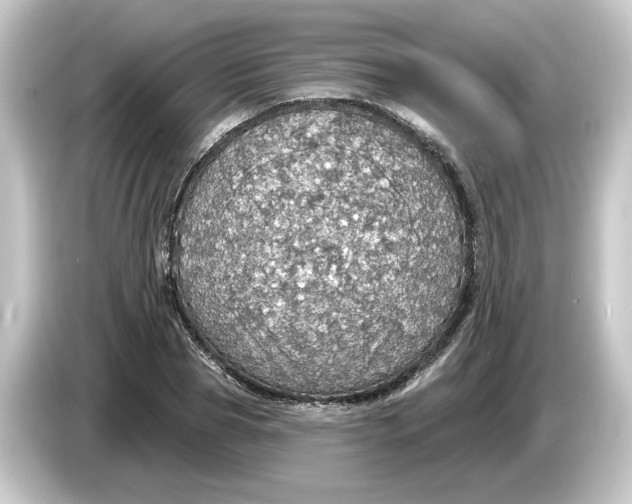 X0000084540929200703161625