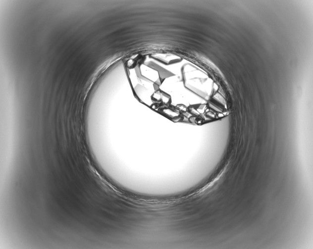 X0000084540930200703161625