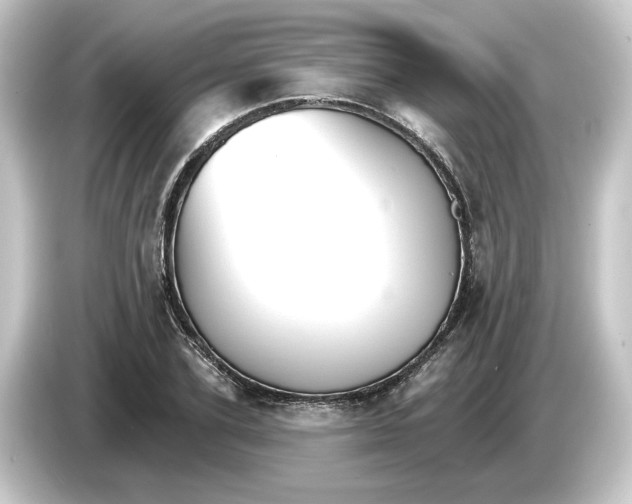 X0000084540931200703161625