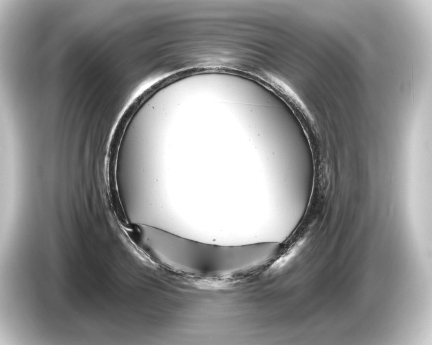 X0000084540932200703161625