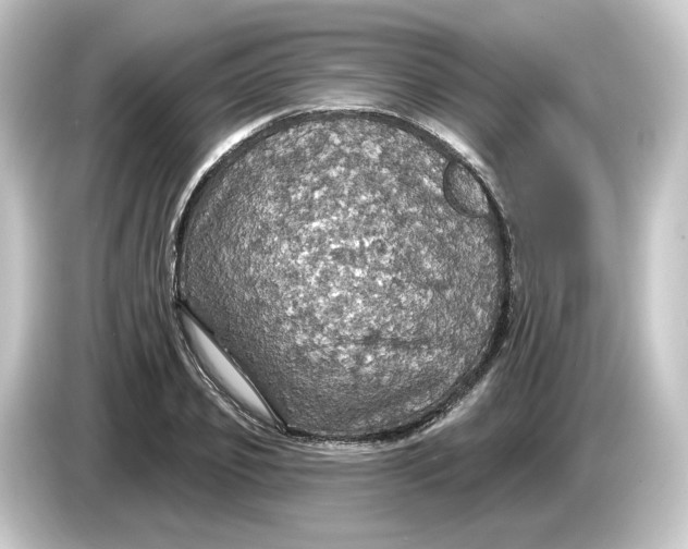 X0000084540933200703161625