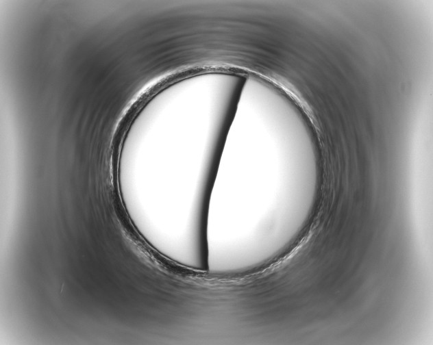 X0000084540934200703161625