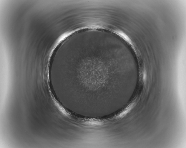 X0000084540935200703161625