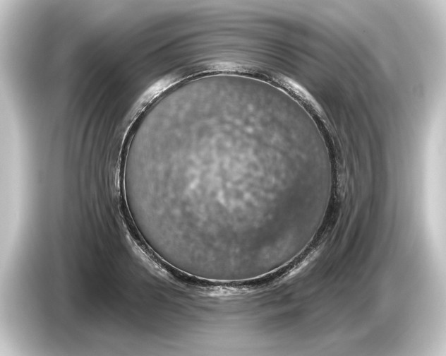 X0000084540938200703161625