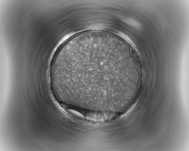 X0000084540939200703161625