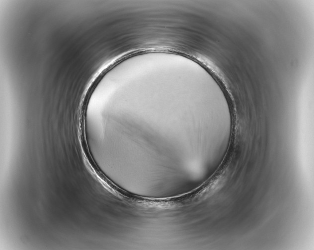 X0000084540941200703161625