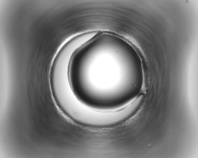 X0000084540942200703161625