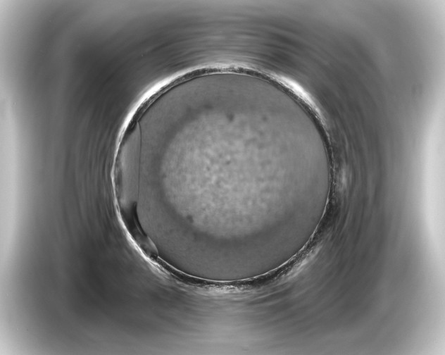 X0000084540943200703161625