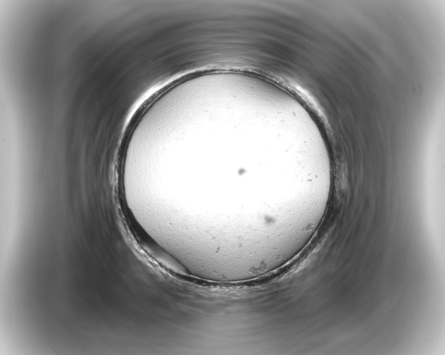 X0000084540944200703161625