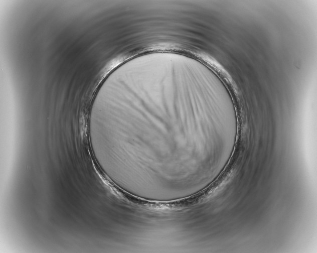 X0000084540945200703161625