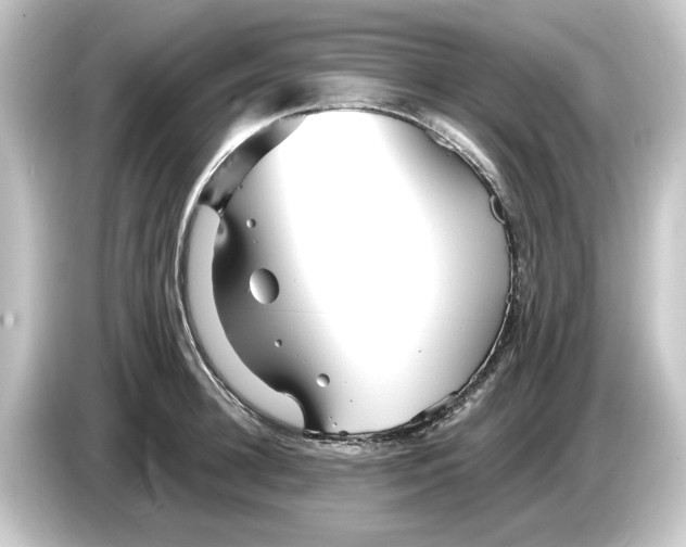 X0000084540948200703161625