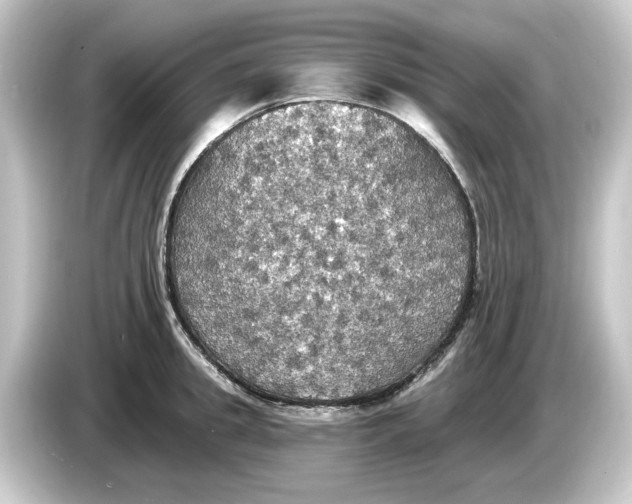 X0000084540949200703161625