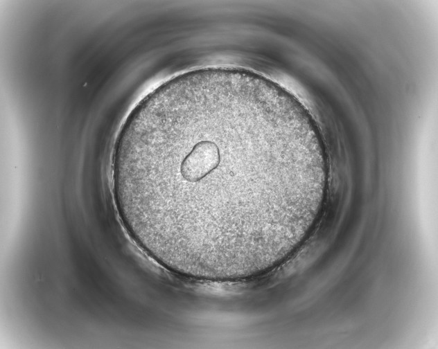 X0000084540950200703161625