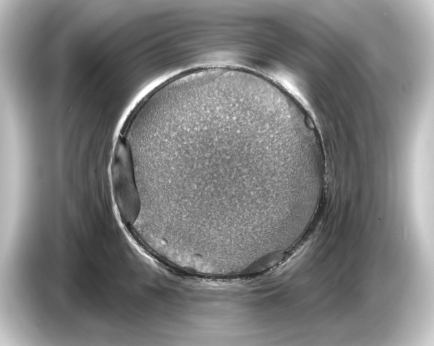 X0000084540951200703161625