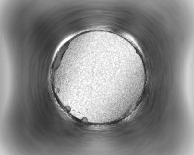 X0000084540952200703161625