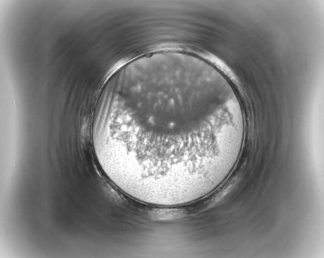 X0000084540953200703161625