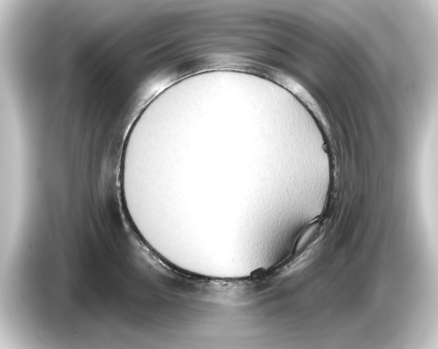 X0000084540954200703161625