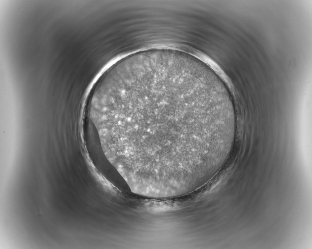 X0000084540955200703161625