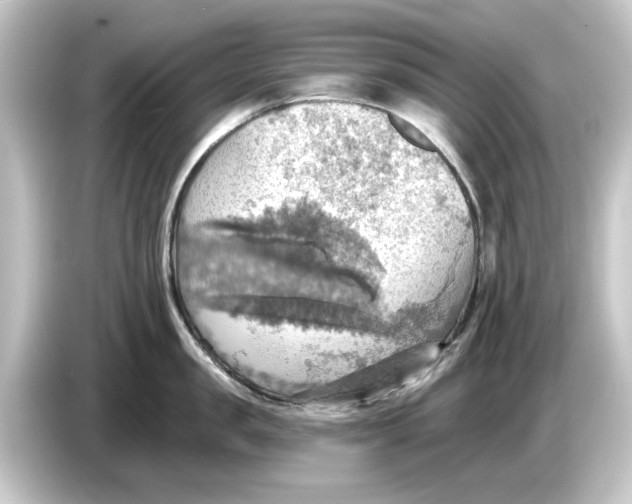 X0000084540957200703161625