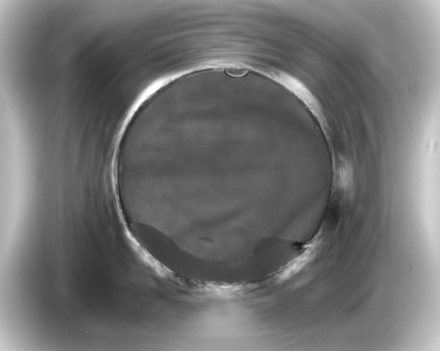 X0000084540958200703161625