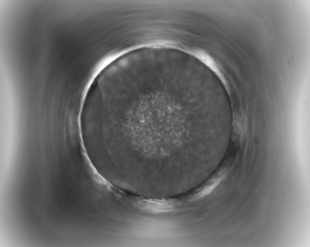 X0000084540959200703161625