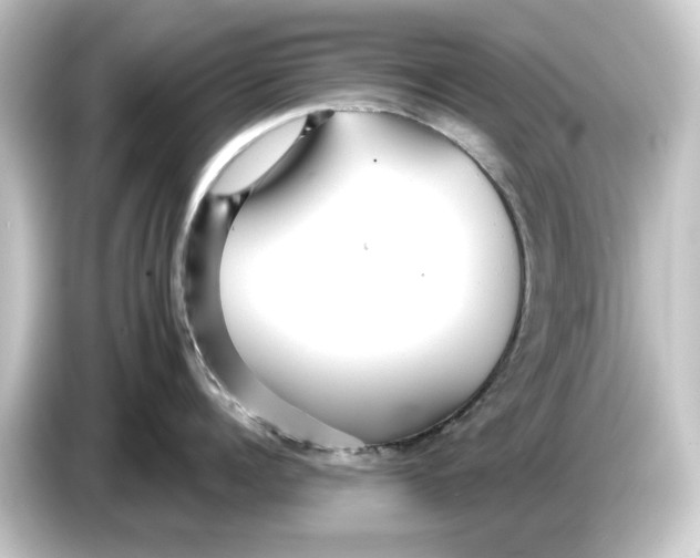 X0000084540960200703161625