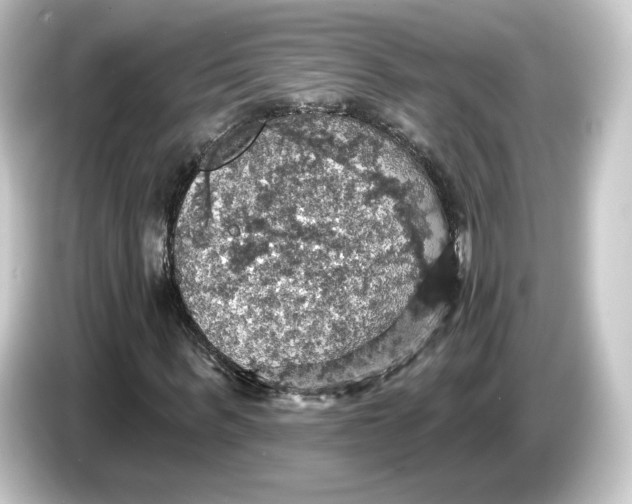 X0000084540963200703161625