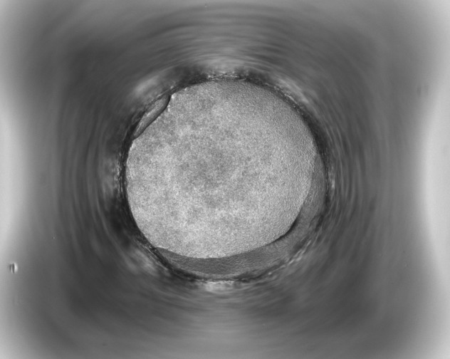 X0000084540964200703161625