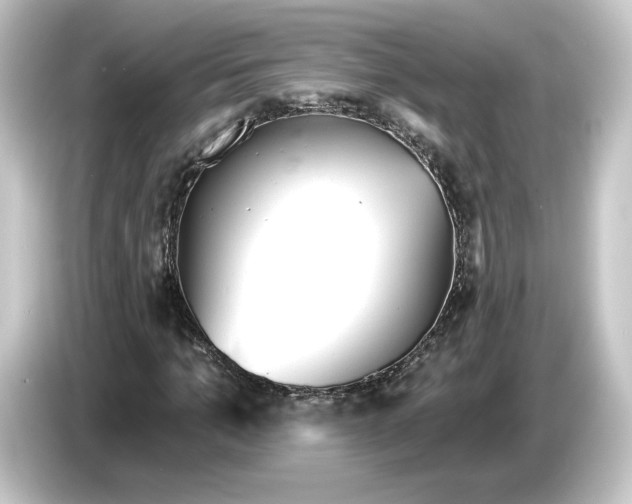 X0000084540965200703161625