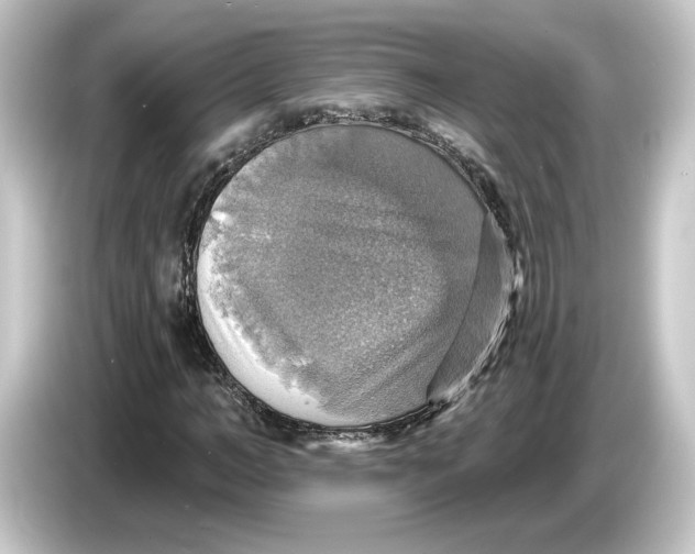 X0000084540966200703161625