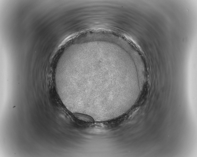 X0000084540968200703161625