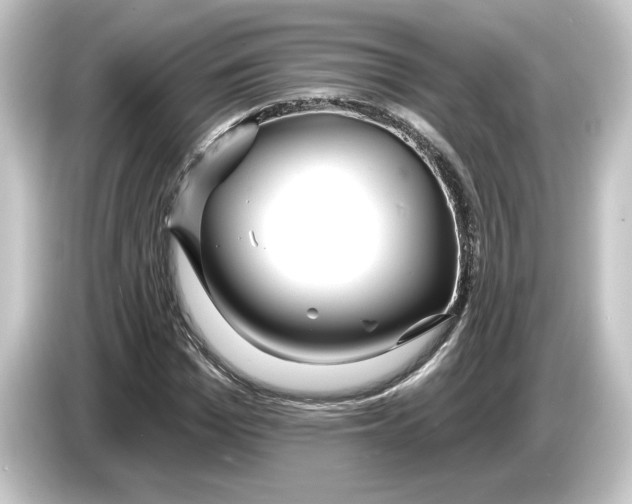 X0000084540969200703161625