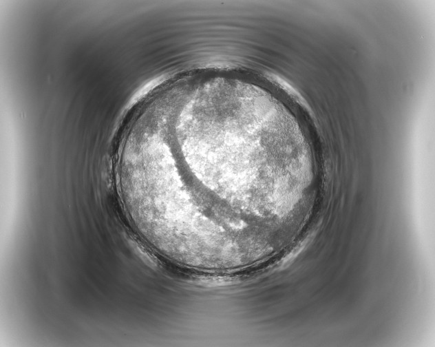 X0000084540970200703161625