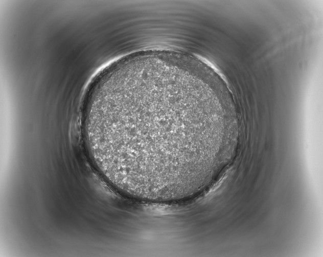 X0000084540971200703161625