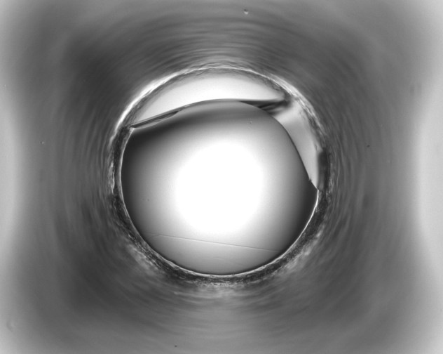 X0000084540973200703161625